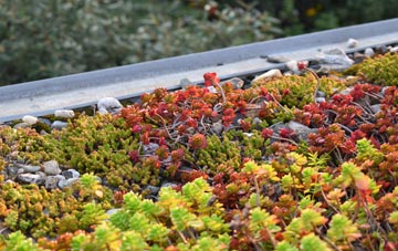 the cost of Workington green roof installation