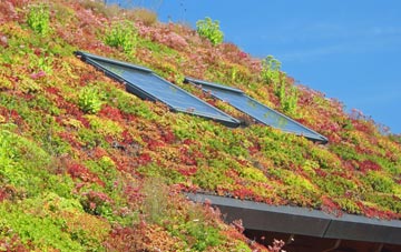 Workington living roof systems